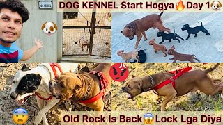 Sb Dogs Ko Kennel M Band Kardiya🐶Dog Kennel Start😍 Rock N Lock Lga Liya😨Pitbull Ko [upl. by Hsemar]