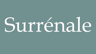 How to Pronounce Surrénale Adrenal Correctly in French [upl. by Shaver208]