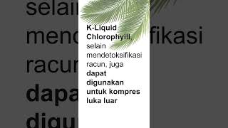 KLiquid Chlorophyll Dapat Digunakan Untuk Kompres Luka Luar [upl. by Aileduab]