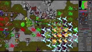 Tibia Paladin 290 Oramond West Quara Raid 5kkh [upl. by Elleval]