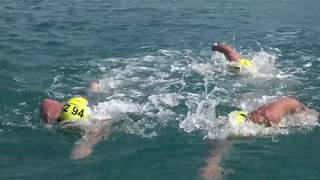 2017 Bosphorus CrossContinental Swim [upl. by Berkeley]