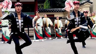 【江戸歌舞伎連・高円寺フェス】 女男踊り 長仙寺山門前 江戸歌舞伎連 高円寺フェス 阿波おどり 高円寺 awaodori 祭り shorts [upl. by Aisorbma]