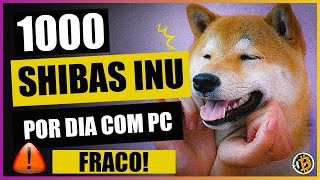 SHIBA INU  Como minerar com computador simples [upl. by Moguel6]