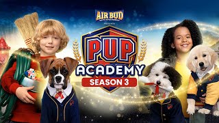 Pup Academy Season 3 Trailer Release Date amp why did it closes its doors forever [upl. by Ybhsa387]