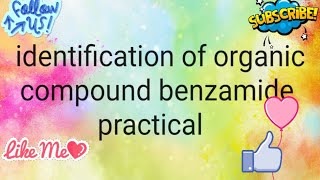 Identification of benzamide organic chemistry practical for BSC student [upl. by Kirrad399]