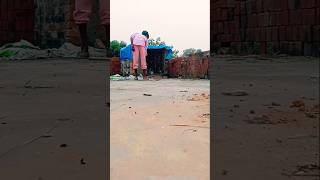 Kabutar mini vlog 🥰🕊️ pigeon minivlog birds trending viralshorts kabutarbazi petlover [upl. by Roper]