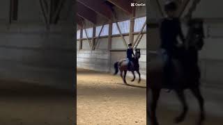 Galop à cru avec Sky ❤️🫶 [upl. by Pestana1]