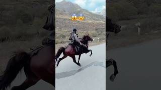 Horse reval uzbekistan😱top speed 😨horse uzbekistan speed adventure trendingshorts trending [upl. by Lindie]