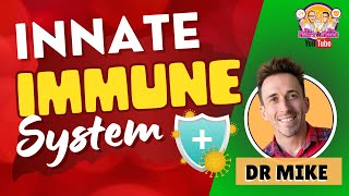 Innate Immunity  Immune System [upl. by Ientruoc566]