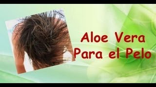 Gel Natural para nuestro cabelloAloe Vera [upl. by Henarat]