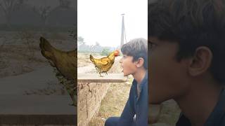 Eating hen duck and pigeon shorts viralvideos trending [upl. by Lekar563]