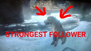 SKYRIM SE  HOW TO GET BARBAS STRONGEST FOLLOWER [upl. by Guy]