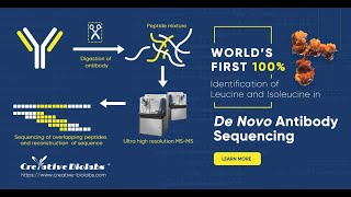 100 Identification of Leucine and Isoleucine in De Novo Antibody Sequencing  Creative Biolabs [upl. by Ronel]