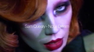 Sam Quealy  Not A Dream visualizer [upl. by Aisan]