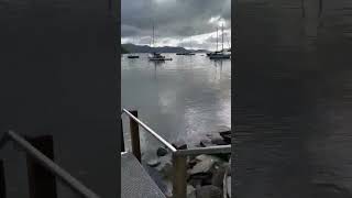 Picton Bay Nice Place with a Hyatt Peaceful Place New Zealand shortsviral shorts asmr [upl. by Finley]