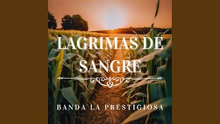 Lagrimas de Sangre [upl. by Arehc]