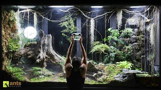 I Added a Grim Reaper Into My Giant Rainforest Vivarium [upl. by Artemla]