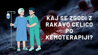 Kaj se zgodi z rakavo celico po kemoterapiji Maria Ana Kolman [upl. by Faustus399]