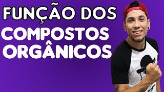 Função do Carboidrato Lipídio Proteína e da Vitamina │Aula 4  Biologia com Patrick Gomes [upl. by Nestor966]