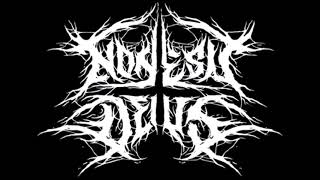 Non Est Deus  Live in Erfurt 2024 Incomplete Concert [upl. by Morita]