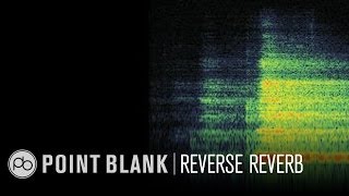 Ableton Reverse Reverb Device  Free Max For Live Download [upl. by Joleen]