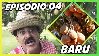 IMBILINO E OS FRUTOS DO CERRADO  EPISÓDIO 04 BARU [upl. by Bui690]