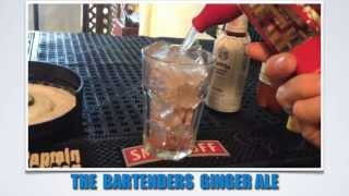 How to Make a quotBartenders Ginger Alequot  Bartending 101 [upl. by Tjon]