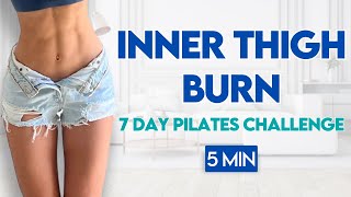 5 min Slim Inner Thighs Pilates Workout  At Home Leg Workout [upl. by Rainger16]