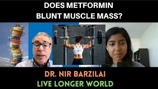 Does Metformin Blunt Muscle Mass  Dr Nir Barzilai [upl. by Byrdie]