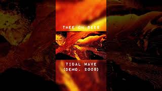 Thee Oh Sees  Tidal Wave demo 2009 theeohsees oseesarchive [upl. by Enaoj]