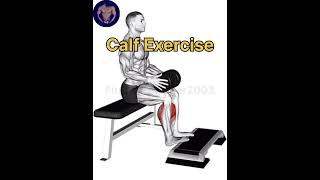 Calf Exercise exercise motivation viralshort calfexercises fitnessvloger2003 [upl. by Dillie]