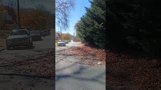 Eastchester New York leafblowers out of control November 9 2024 [upl. by Forester893]