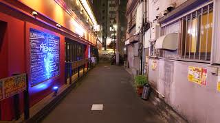 4K・ 【4K】Night walk in Yokohama Nogecho and MinatoMirai [upl. by Griffin165]