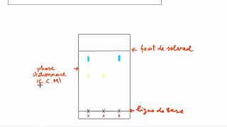 La chromatographie sur couche mince CCM [upl. by Ettesoj407]