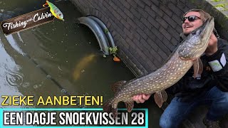 ZIEKE AANBETEN IN AMSTERDAM  Een dagje snoekvissen 28 [upl. by Siva]