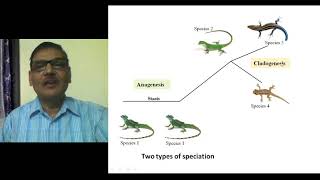 Modes of Speciation Formation of New Species [upl. by Mide]