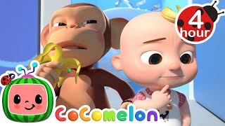 Learning To Wait Your Turn  More  Cocomelon  Nursery Rhymes  Fun Cartoons For Kids  3 Hours [upl. by Rikki]