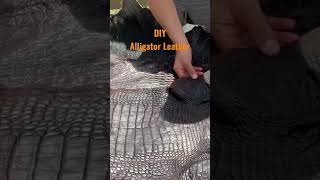 DIY alligator leather shorts [upl. by Fay]