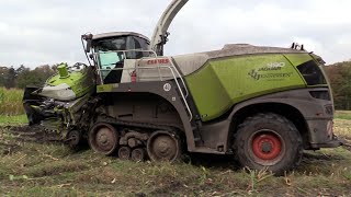 Maïs 2024  Claas Jaguar 990 Terra Trac  5x Fendt  Kaweco aangedreven wagen  Steyr 6x6 Jennissen [upl. by Ynaffi]