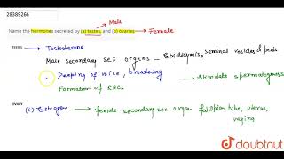 Name the hormones secreted by a testes and b ovaries [upl. by Allimrac745]