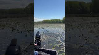 Freedom Outboard  South end of Sodus Bay shallowwater [upl. by Boyse]