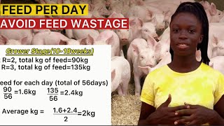 Amount of FEED for PIGS in a day PIG FEEDING at Weaner Grower and finisher stages [upl. by Hahsi]