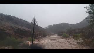 Flooding Parachilna Gorge Road [upl. by Urbai]