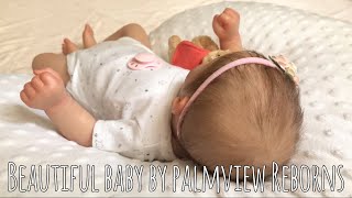 Relaxing Reborn Baby Box Opening Video A Beautiful Baby Painted And Gifted By Palmview Reborns ❤️👣 [upl. by Mohn254]