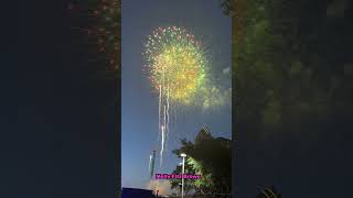 Summer Nights Fireworks buschgardenstampa fireworks buschgardens show tampa vacation summer [upl. by Norag]