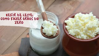 Como fazer kefir de leite do zero fácil sem grãos [upl. by Yrag890]