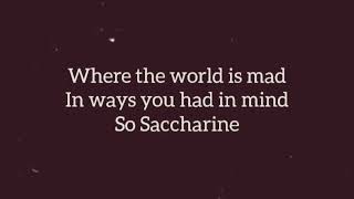 Saccharine Lyric Video [upl. by Malynda]