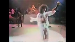 GINO VANNELLI Live  APALOOSA [upl. by Northrup]