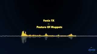 Fenix TX  Pasture Of Muppets [upl. by Hoes]