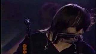 Steve Earle  I Feel Alright MTV Live [upl. by Dominique]